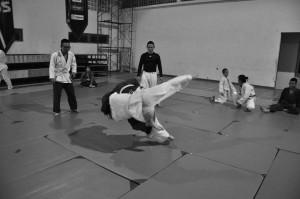 judo-333779_1920